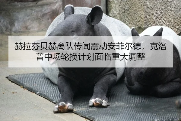 赫拉芬贝赫离队传闻震动安菲尔德，克洛普中场轮换计划面临重大调整