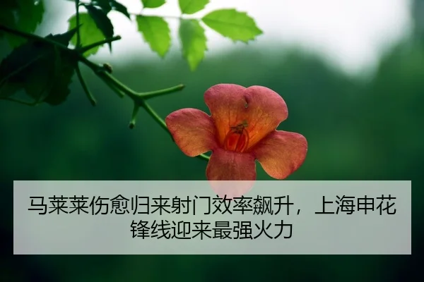 ma-lai-lai-shang-yu-gui-lai-she-men-xiao-lv-biao-sheng-shang-hai-shen-hua-feng-xian-ying-lai-zui-qiang-huo-li-2-852.jpg