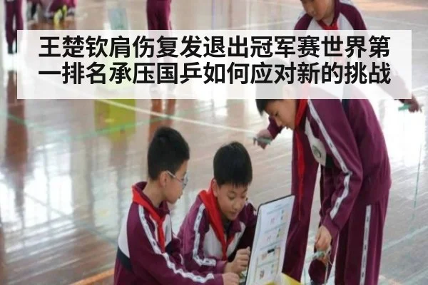 王楚钦肩伤复发退出冠军赛世界第一排名承压国乒如何应对新的挑战